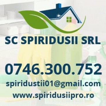 Spiridusii- Servicii de curatenie