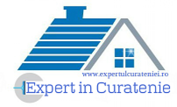 Expert in Curatenie