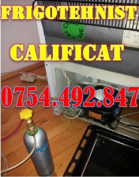 Reparatii frigidere Botosani