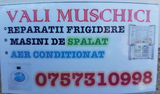 Reparatii frigidere, masini de spalat si AC