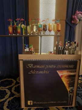 BARMANI PENTRU EVENIMENTE ALEXANDRIA