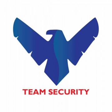 TEAM SECURITY