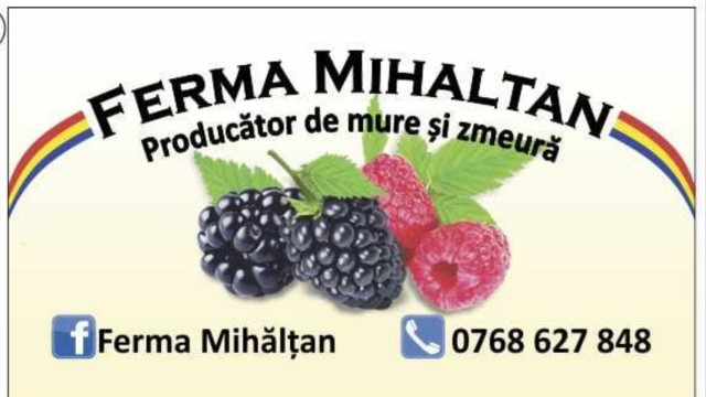 Ferma Mihaltan - Producator de mure si zmeura