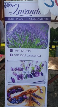 Coltisorul cu Lavanda