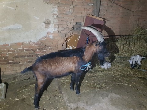 Ferma lu' Rafa