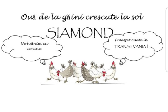 SIAMOND