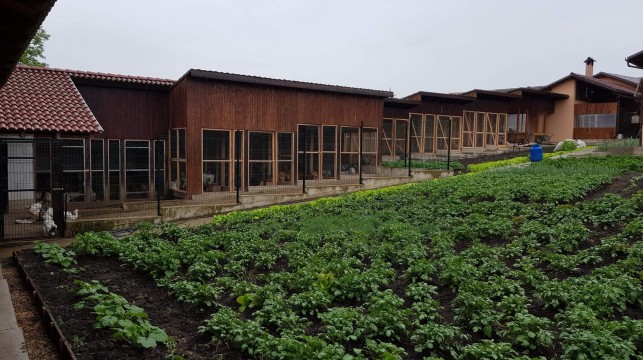 Ferma de gaini Tomi