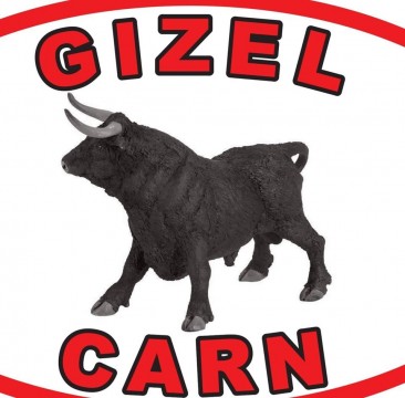 Gizel Carn Alba Iulia