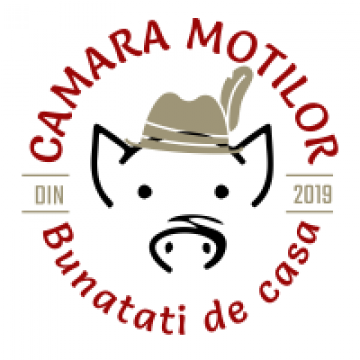 Mezeluri de casa Arad
