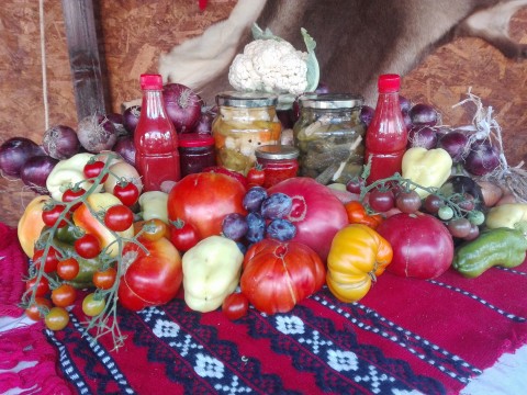 Gradina Bunicii