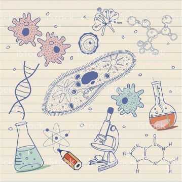 Meditatii la biologie