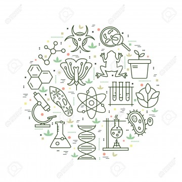 Meditatii biologie