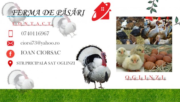 Ferma de pasari