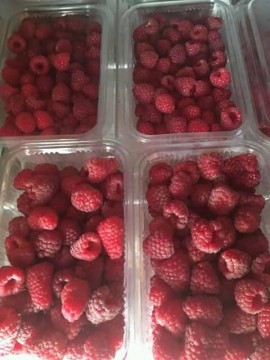FRUCTE DE PADURE LA B.D.