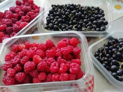 Fructe de padure