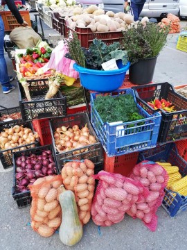 Legume belințene, sută-n sută bănățene