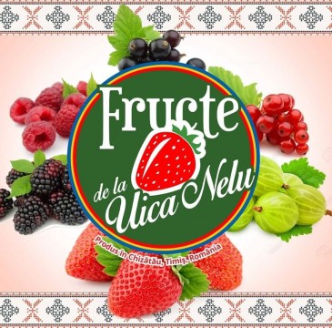 FRUCTE SI LEGUME DE LA UICA NELU