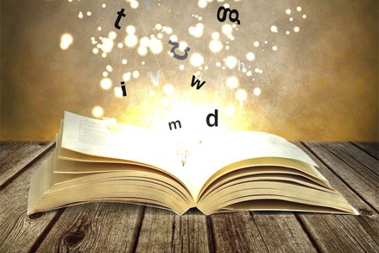 Meditatii Limba si literatura romana si limba engleza