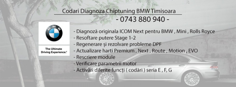 CODARI SI DIAGNOZA BMW