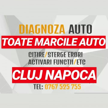 DIAGNOZA AUTO ROMAN