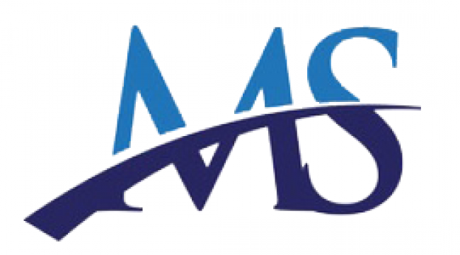 MSTEAM INCHIRIERI AUTORULOTE