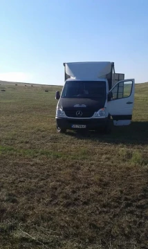 Transport animale vii