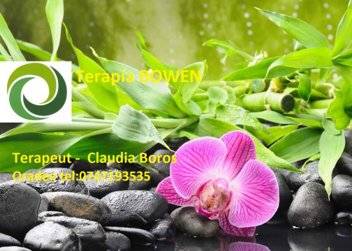 Terapeut Bowen Claudia Boros