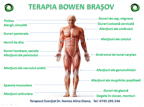 Terapia BOWEN - Dr Diana Alina Nemes