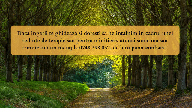 Terapie Reiki Cluj