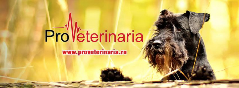 PROVETERINARIA CABINET VETERINAR