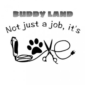 BUDDY LAND