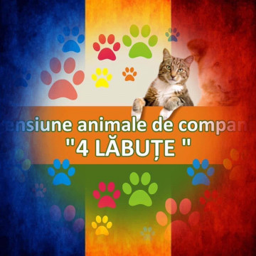 PENSIUNE ANIMALE  4 LABUTE