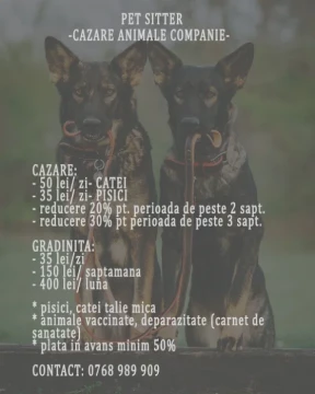 Pet sitter- Cazare animale de companie