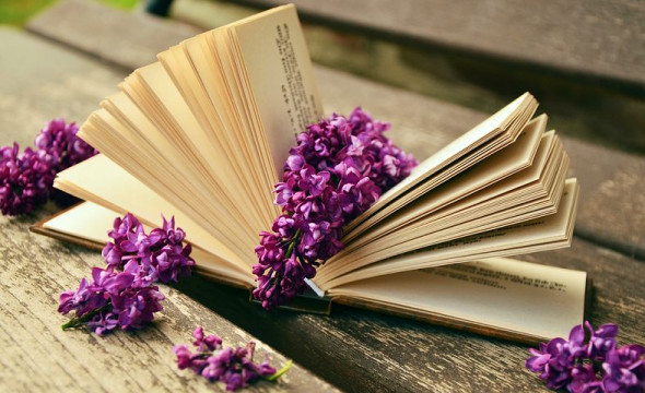 Meditatii Limba si literatura romana