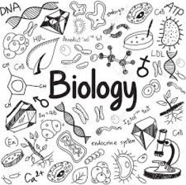 Ofer meditatii biologie si anatomie