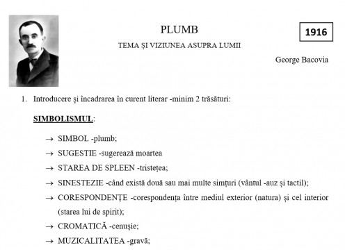 Pregătire Bacalaureat Limba și Literatura Română