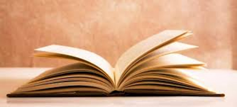 Meditații Limba și Literatura Română