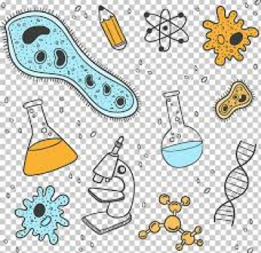 Meditatii biologie