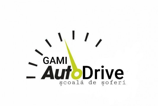 Instructor auto categoria B