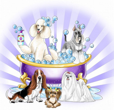 Coafor canin/ frizerie canina