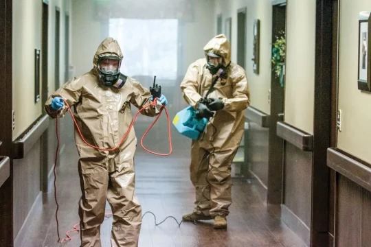 Deratizare Dezinsectie Dezinfectie pentru apartamente case si firme