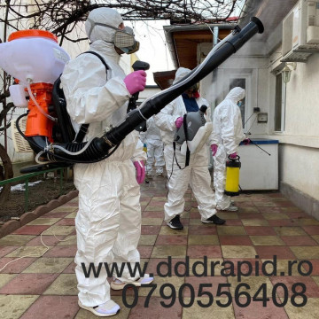 FIRMA AUTORIZATA DERATIZARE DEZINFECTIE DEZINSECTIE