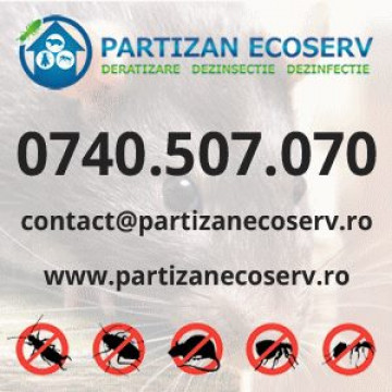Deratizare Dezinsectie Dezinfectie Oradea
