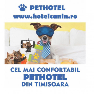 Adăpost pentru animale