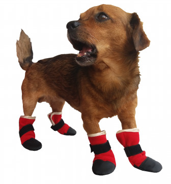 Vestimentatie si accesorii pentru animale de companie