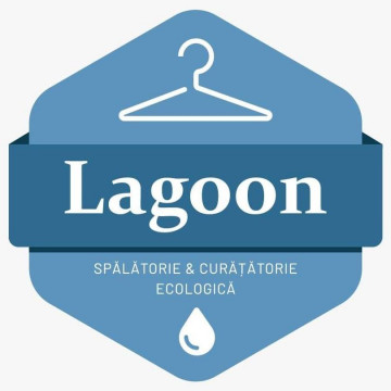 Spalatorie si curatatorie ecologica