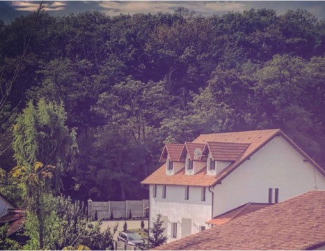 VilaFrancisca10