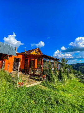 Cabana Pin 1000M Apuseni