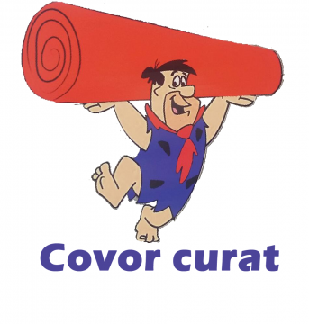 Spalatoria de covoare Mercur
