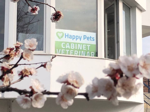 Cabinet veterinar